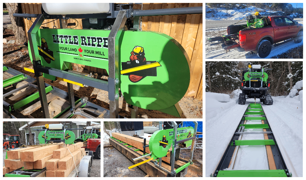 Little Ripper Collage